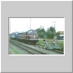 "Kartoffelk&auml;fer" in Holzkirchen