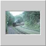 Dampfzug der HSB bei der Einfahrt im Bahnhof Steinerne Renne