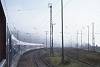 Morgennebel in Lietzow